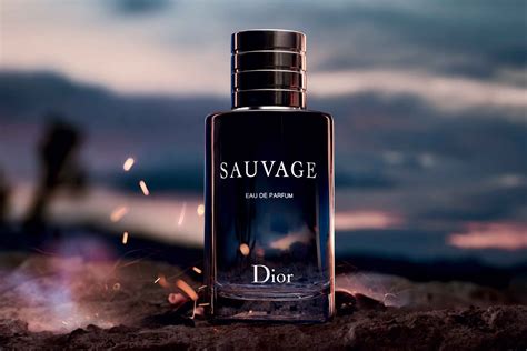 sacage dior